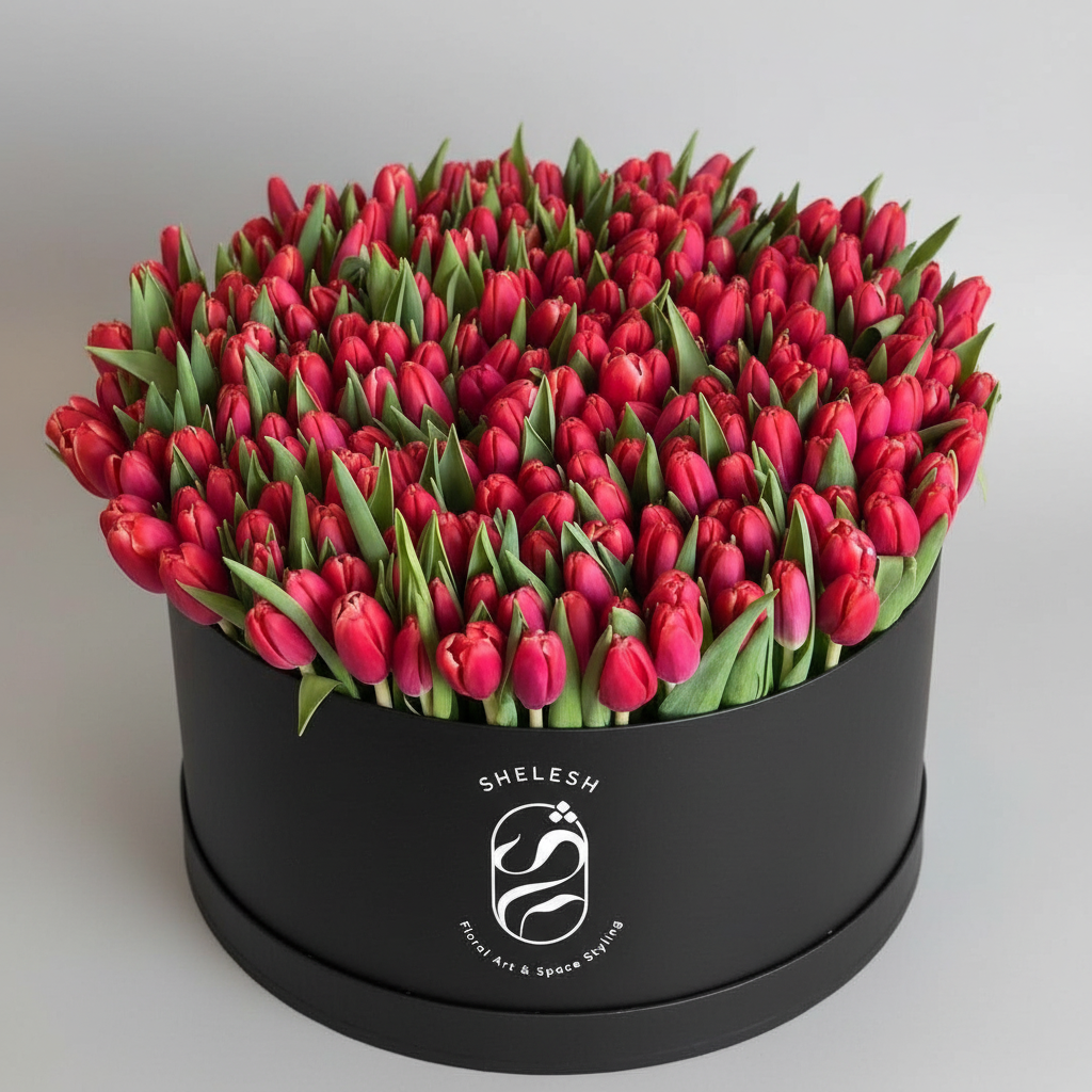 Red Tulips in Black Shelesh Box - Clean Design
