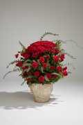 Tiered Red Rose Arrangement - Professional Photography